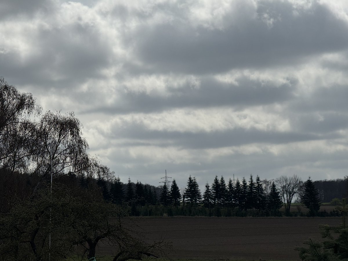 funnyson tweet media