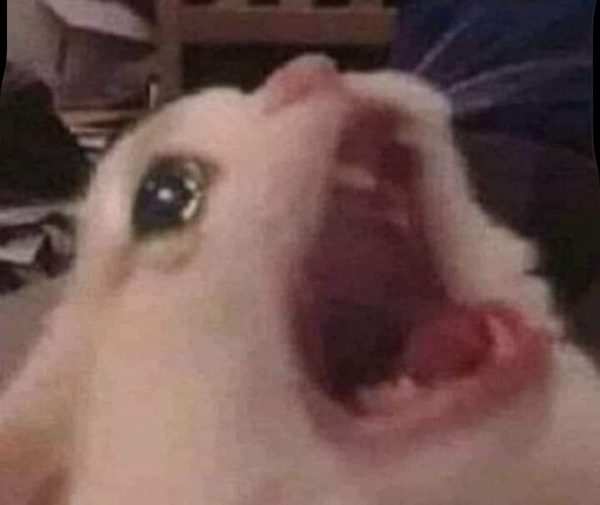 ❇️Sora Orion Okami❇️|18+ Retired Mage VTuber| tweet media