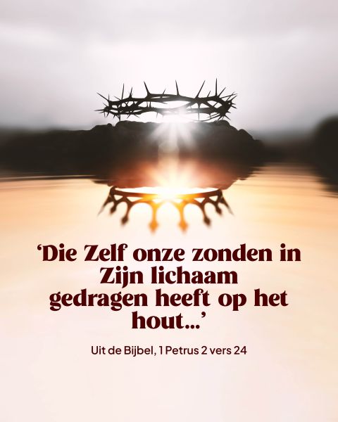 Gereformeerde Gemeenten in Nederland tweet media