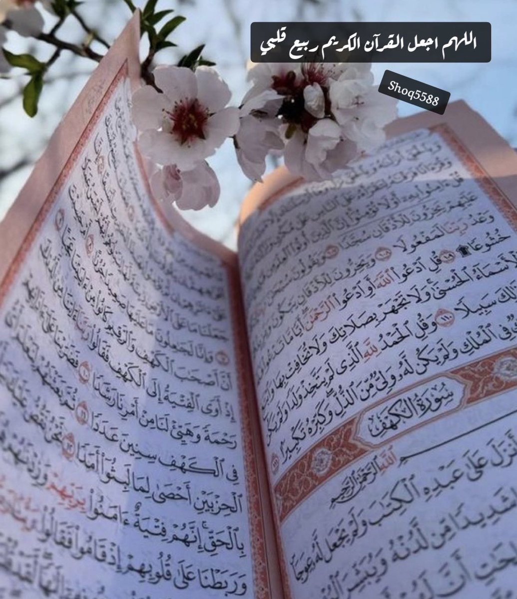 قال ابن دقيق العيد: مات صاحبٌ لي فرأيته في المنام فسألته عن حاله فقال: لما وضعتموني في القبر جاءني كلبٌ كالسبع فارتعت فجاء شخص في هيئةٍ حسنة فطرده وجلس عندي يؤنسني فقلت من أنت؟
فقال: أنا ثواب قراءتك سورة الكهف يوم الجمعه

طابت جمعتكم بذكر الله والصلاة على رسول الله
 #يوم_الجمعه