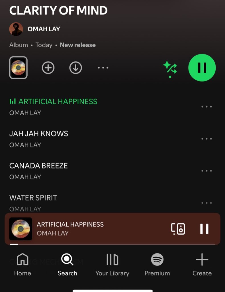 mr WEALTH🔯 tweet media