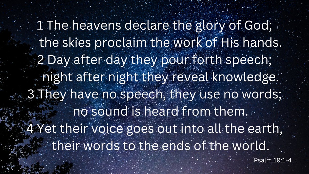 Fluffy Pudge & Friends tweet media