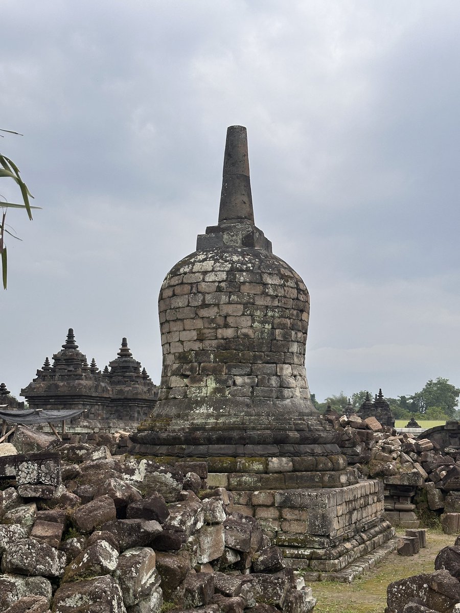 Mas crush tweet media