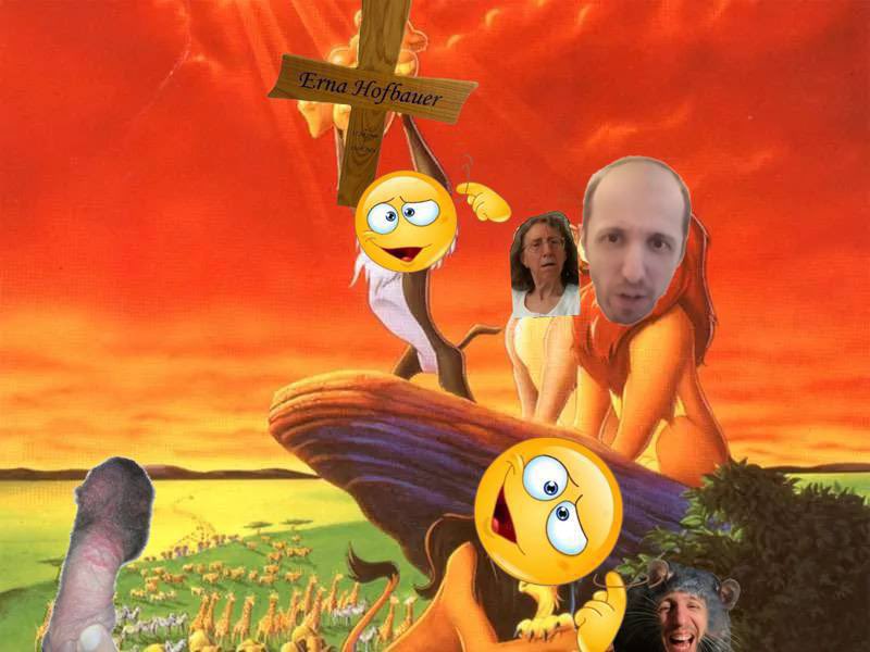 Sturmhorst tweet media