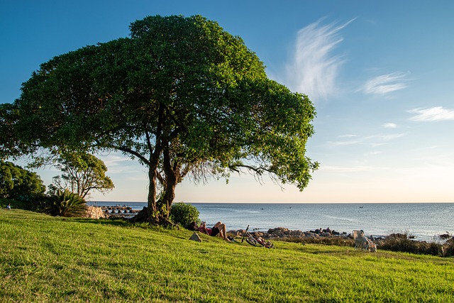 Ryan Barit tweet media