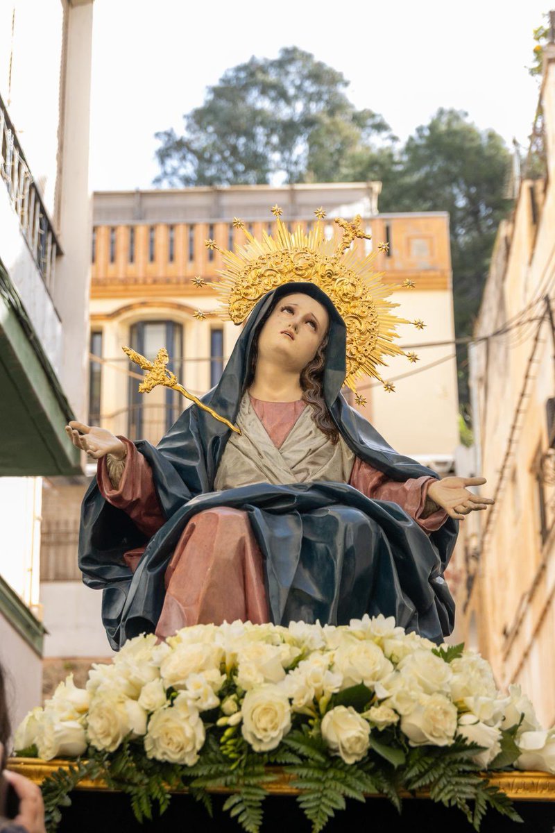 AmoryCaridad's tweet photo. ✝️ Via+Crucis y traslado del Santísimo Cristo del Amor y la Santísima Virgen de los Dolores.

«Mirad el árbol de la Cruz, en que estuvo clavada la salvación del mundo. Venid a adorarlo».

#CofradíasMLG #AmoryCaridad26 https://t.co/XKC43hJ46U