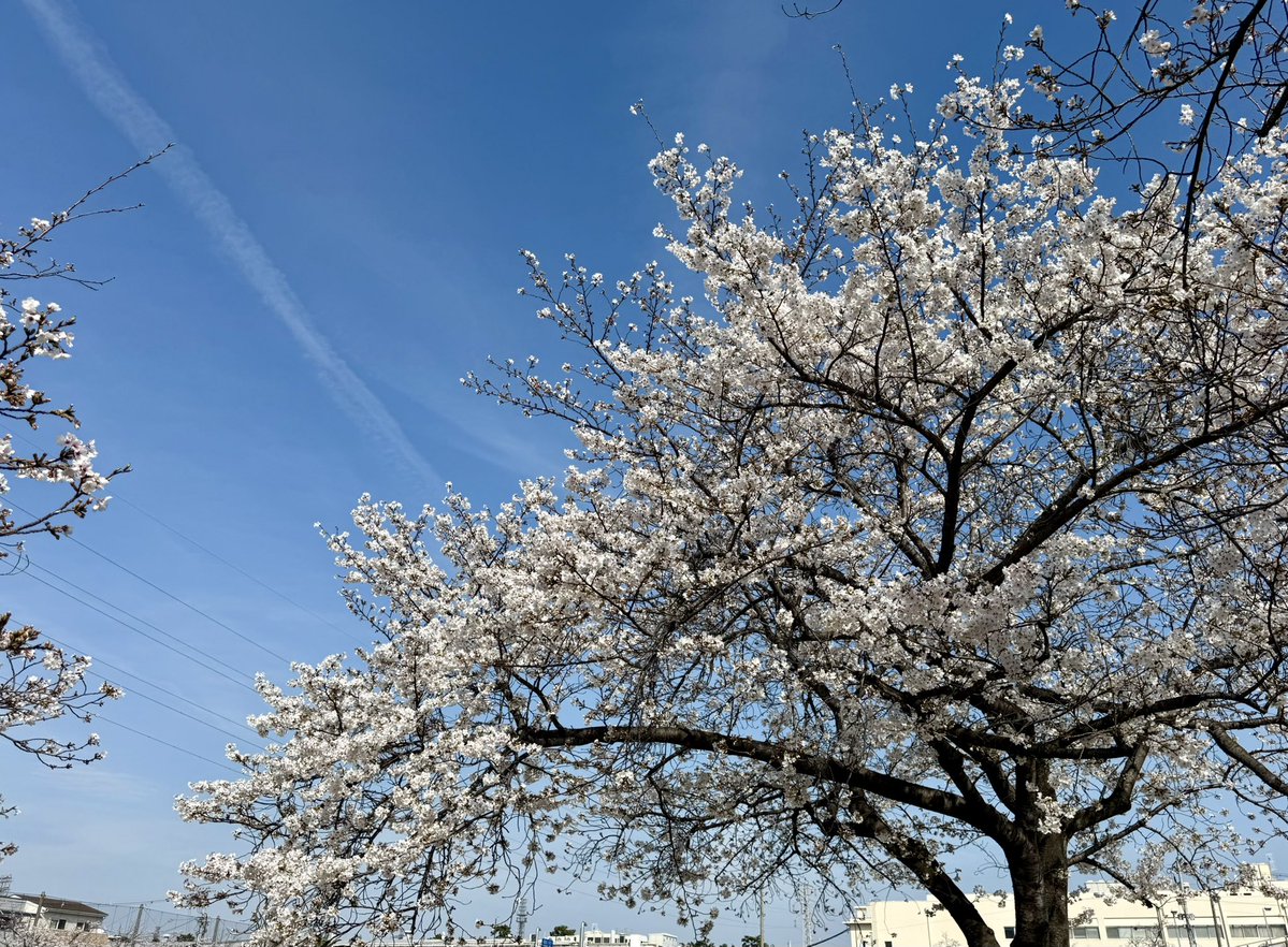 フロゥ tweet media