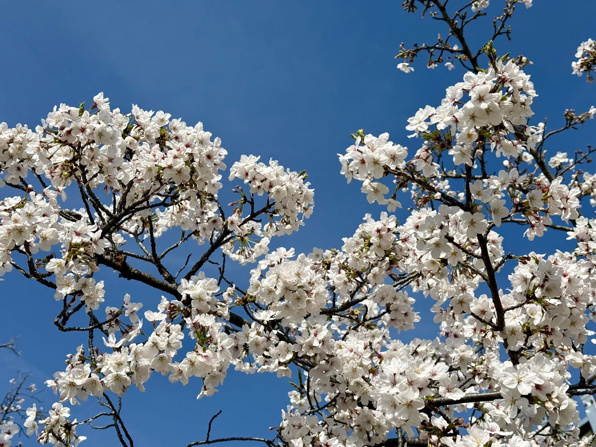 フロゥ tweet media