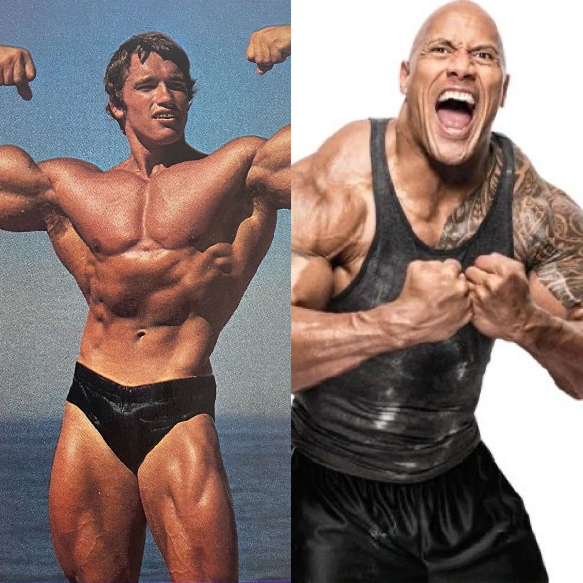 🍓φ ❀⋆˚࿔ tweet media