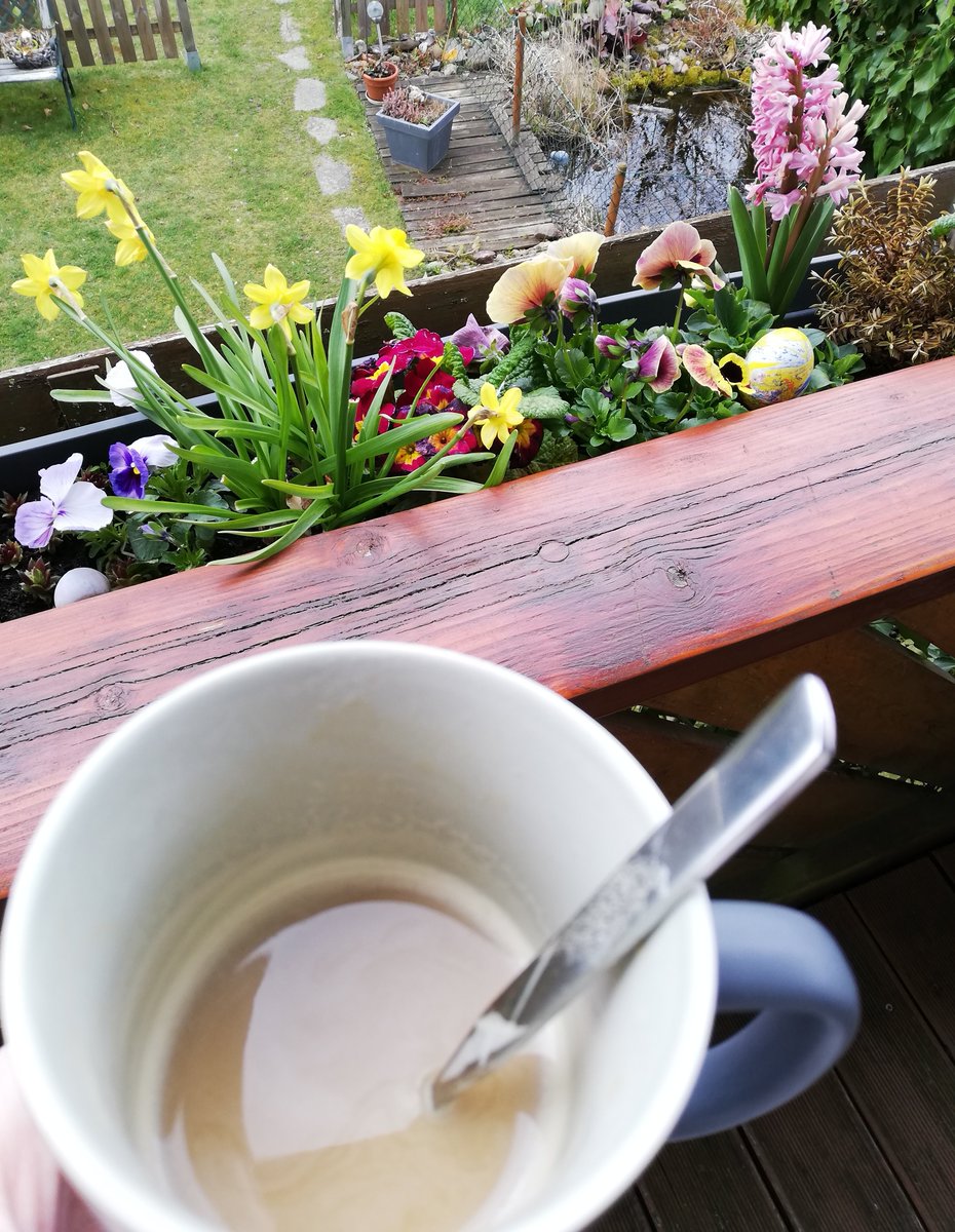 Ayckせかい tweet media