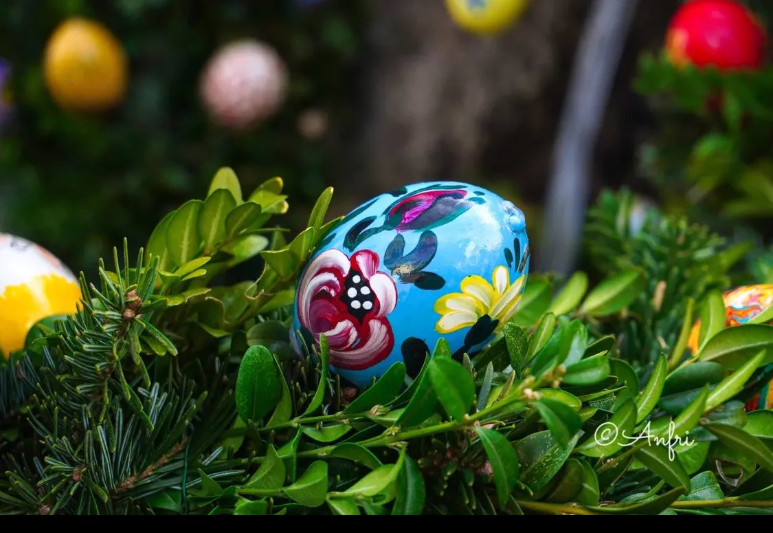 European Cooperation Centre 🇧🇪🇪🇺 tweet media