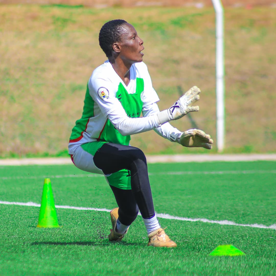 SHE CORPORATE FC tweet media