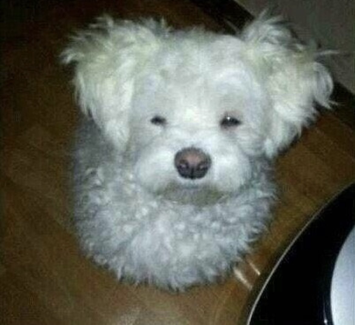 모리(mori) tweet media