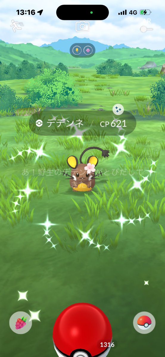 まな🍩🍒どぅなちぇりり✨¨̮♡ tweet media