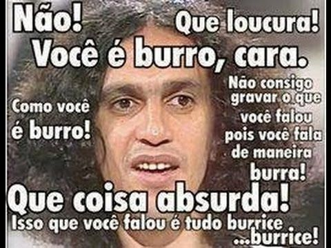 CapivaraDoTechnoAndFullonPsy ☭ tweet media