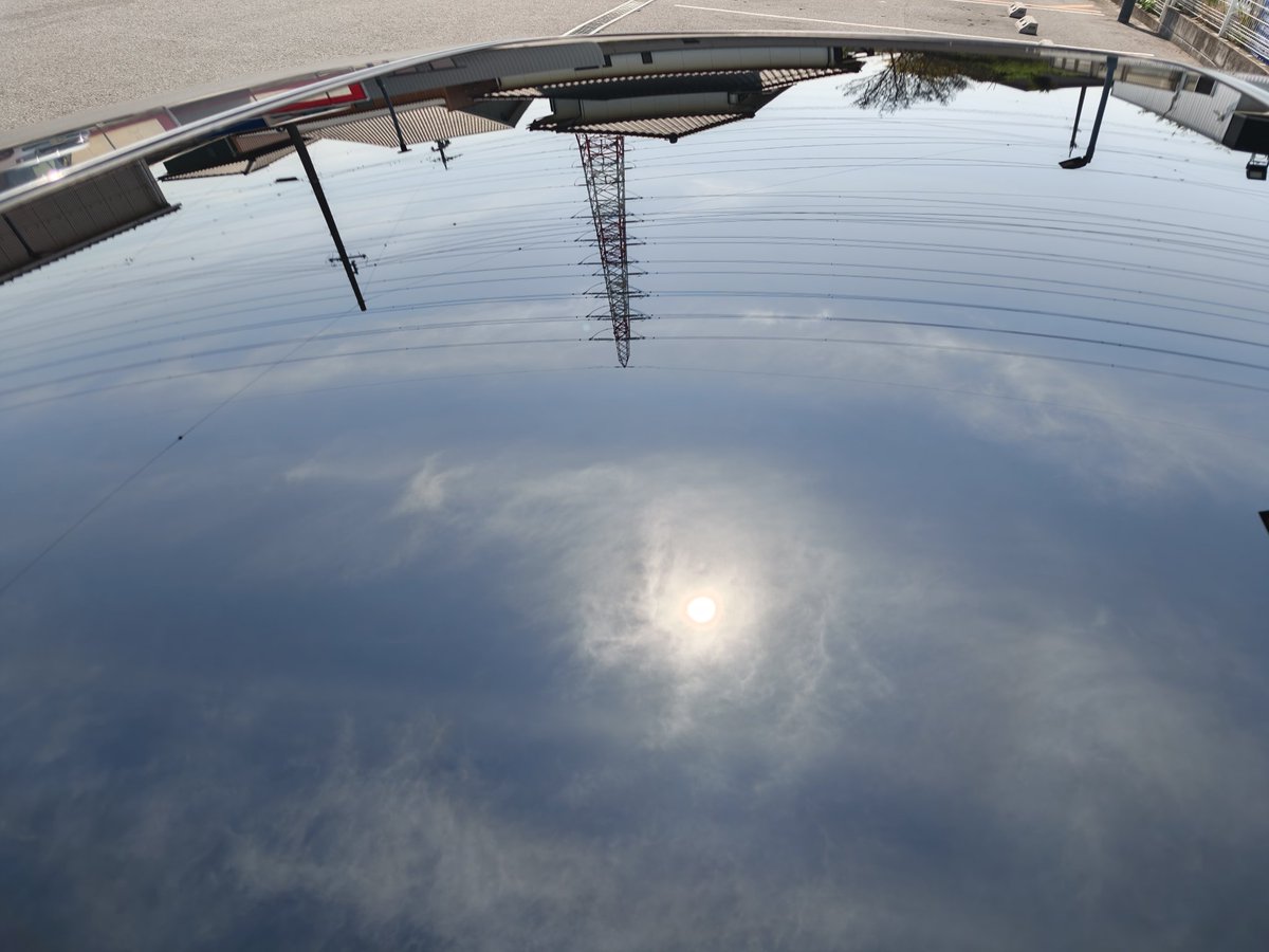 たまには酸性シャンプーで洗ってあげるとシャキッとして良いね☺️