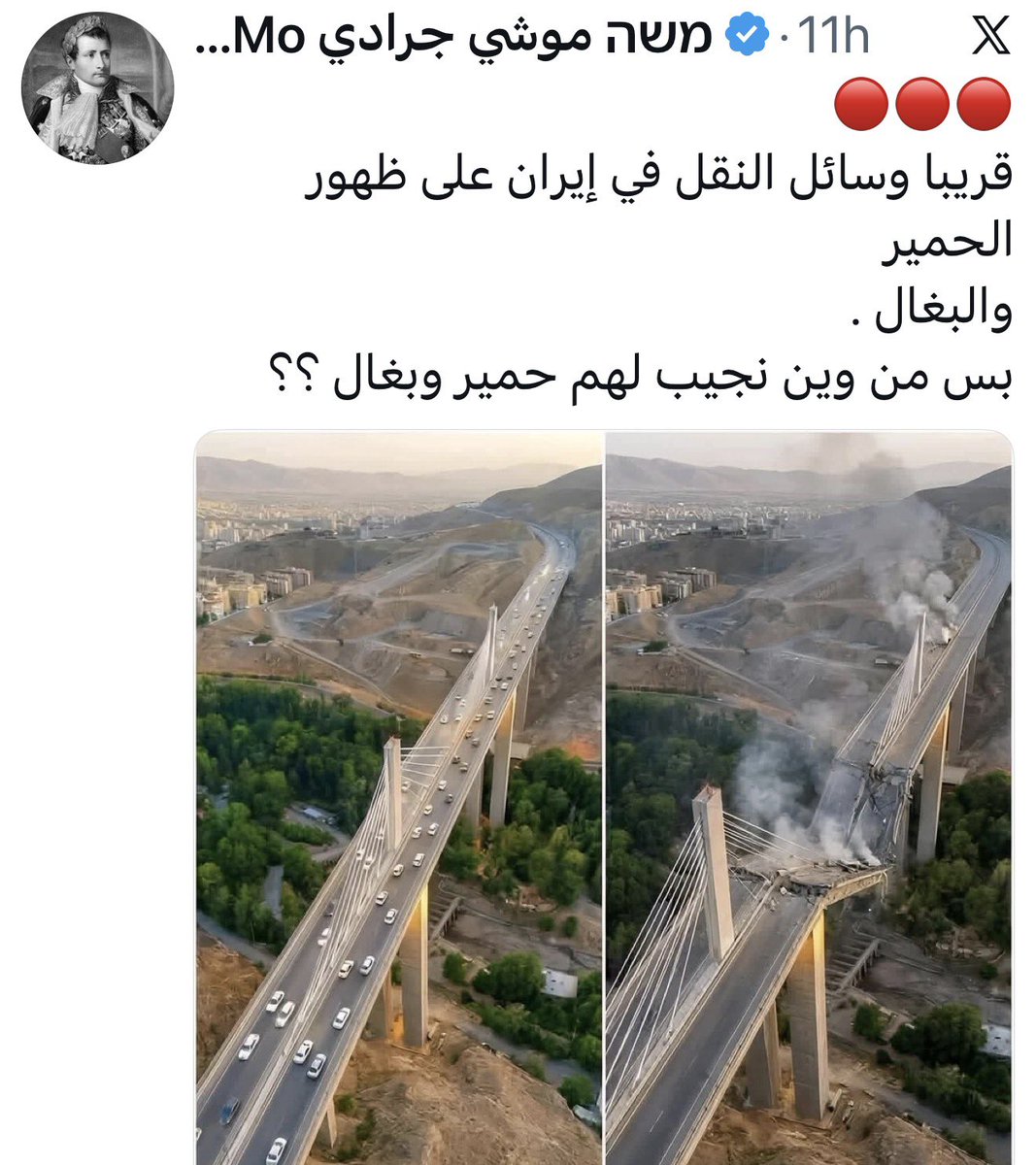 Mourad Aly د. مراد علي tweet media