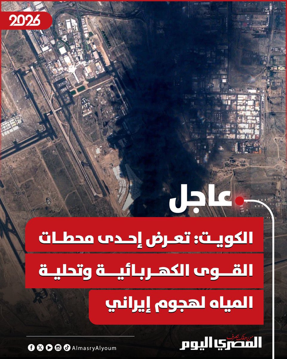 Mourad Aly د. مراد علي tweet media