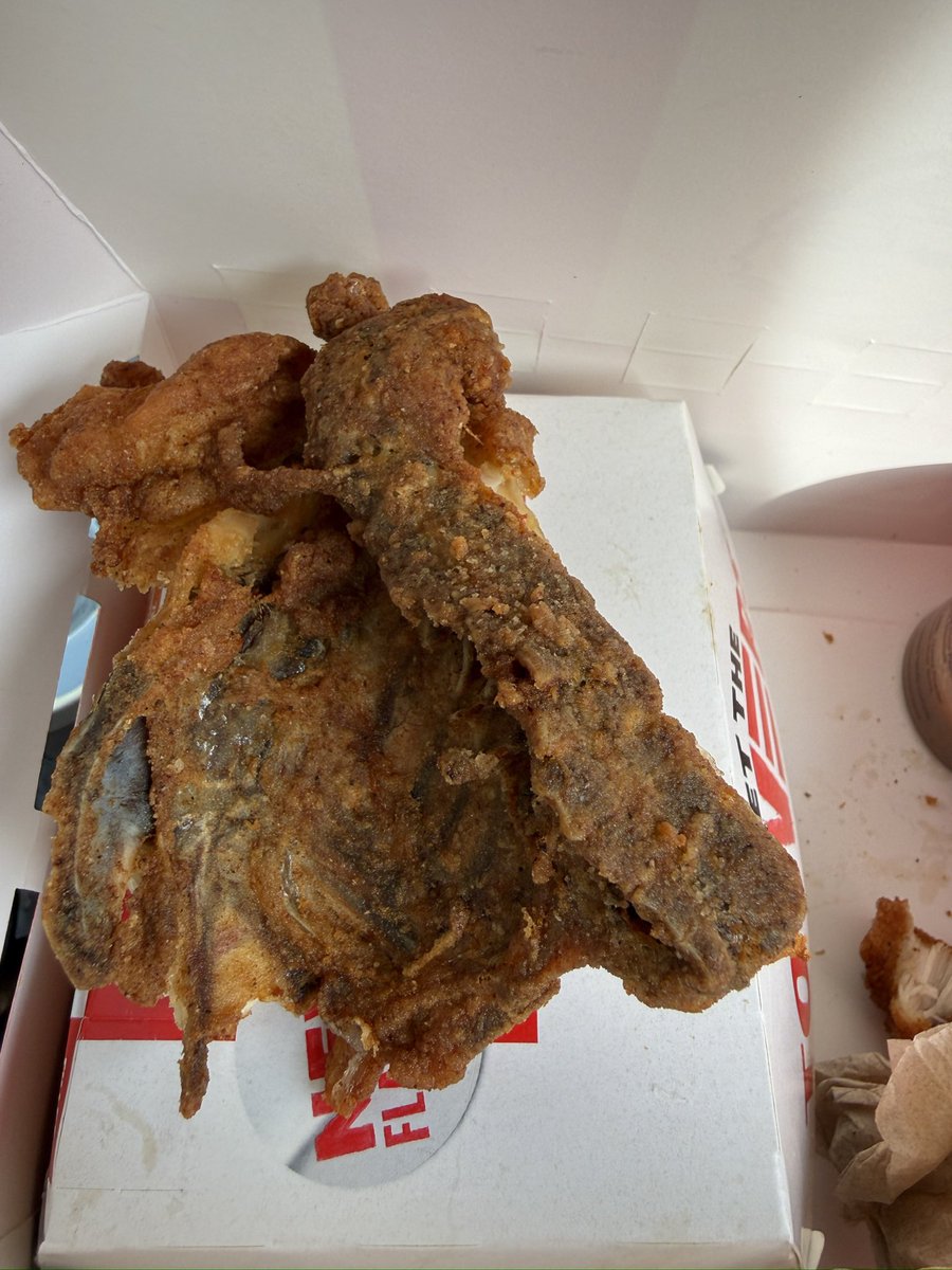 explore with ant tweet media