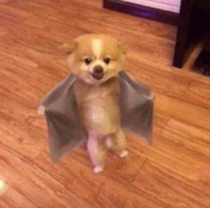 Uncle Ruckus tweet media