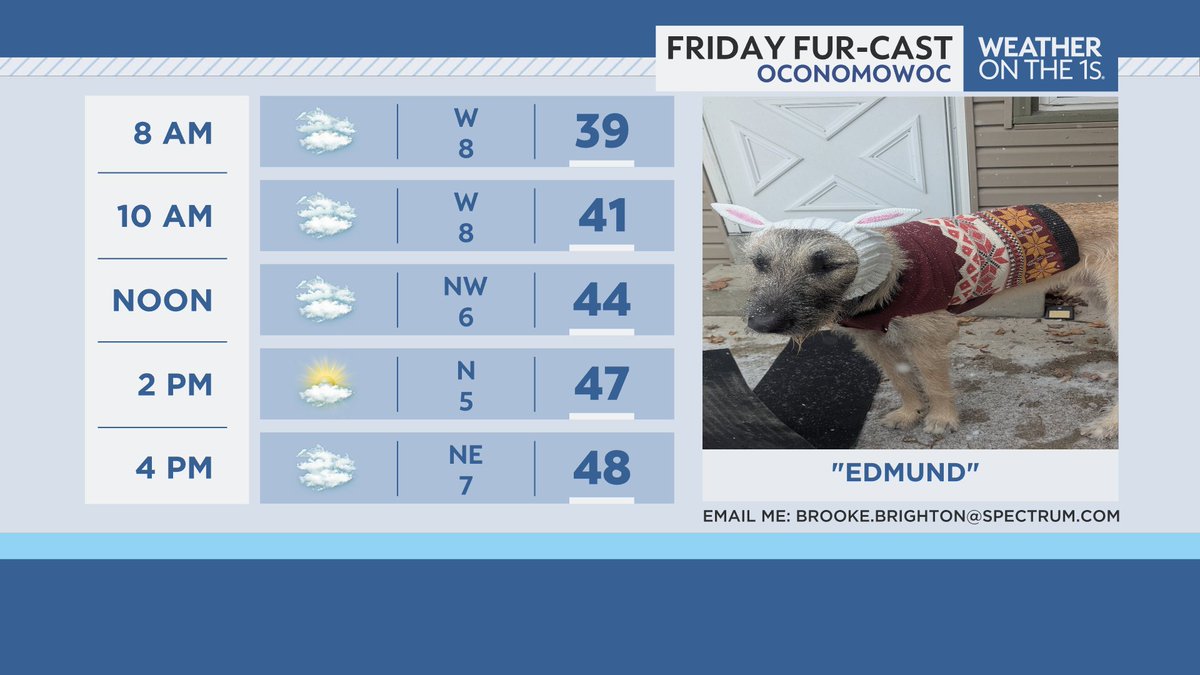 BrookeBrighton's tweet image. Our @SpectrumNews1WI #Furcast friend this Friday is "Edmund" from Oconomowoc (thanks to Adam &amp;amp; Susanne Cano for sharing). If you have any pictures of your pet, feel free to share it with me for your chance to be featured on-air. 🐶🐱🐭🐰🐦 #pets