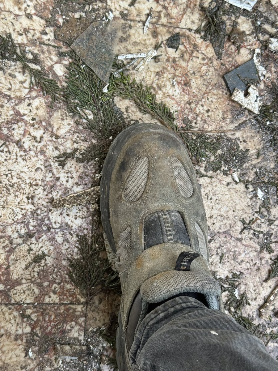 azad nepenaber tweet media