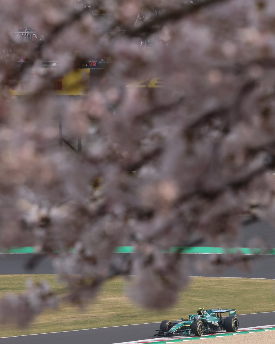HondaRacingF1's tweet image. Sakura season, trackside 🌸

#F1 #F1JP #JapaneseGP