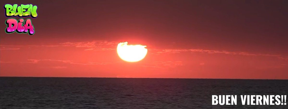 Walter Verst 🏆🦑⭐️ tweet media