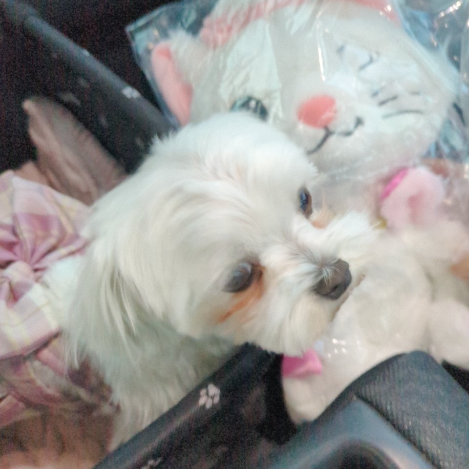 ろん#🎮 tweet media