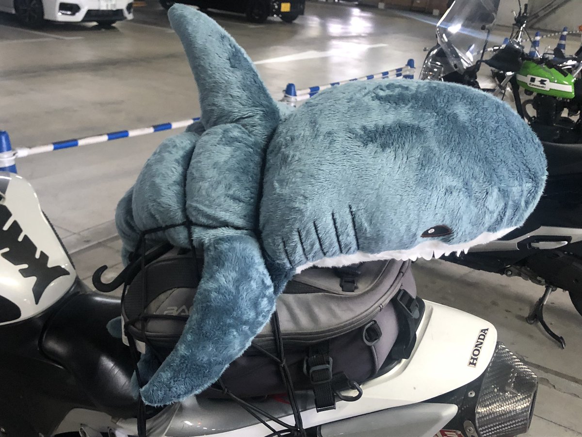 Alice_AS tweet media