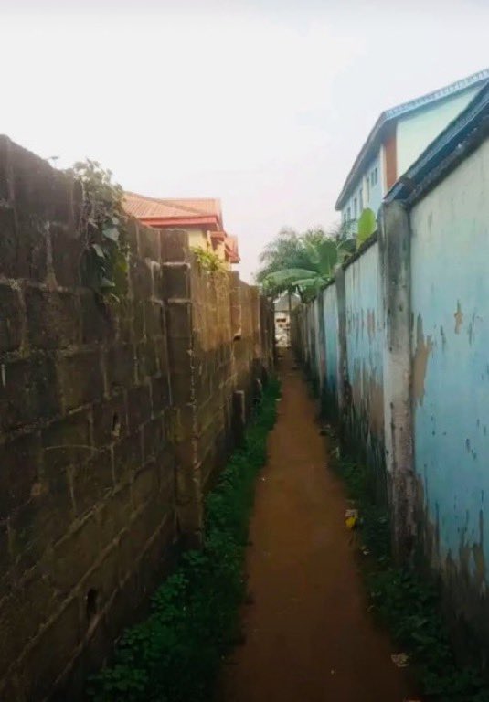 Akinkunmi tweet media