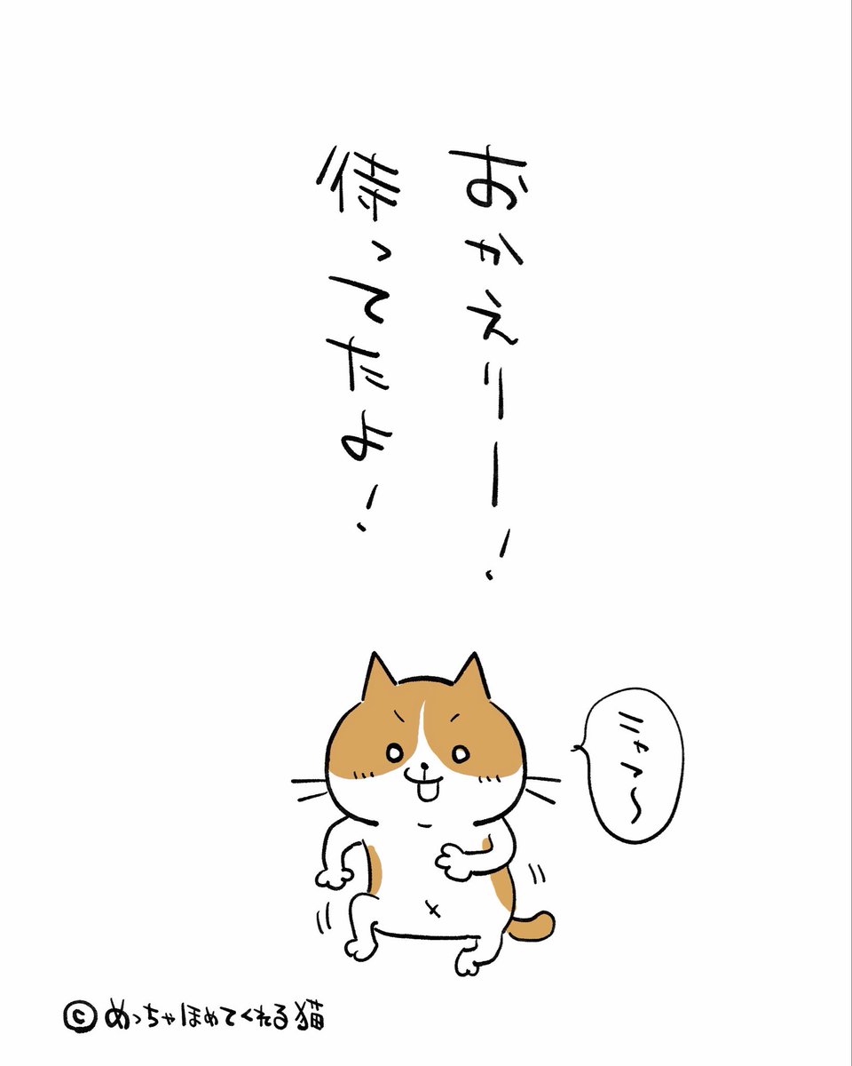 さぁ金曜日だよ！頑張ったね！