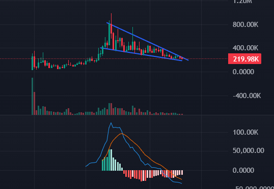 Cadic | NSYL ™ tweet media