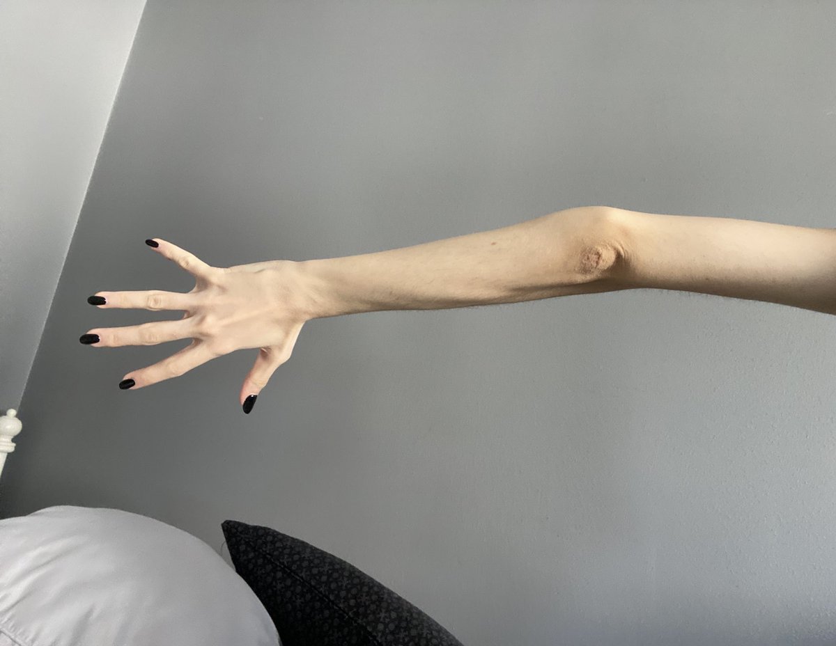 elara🐾 tweet media