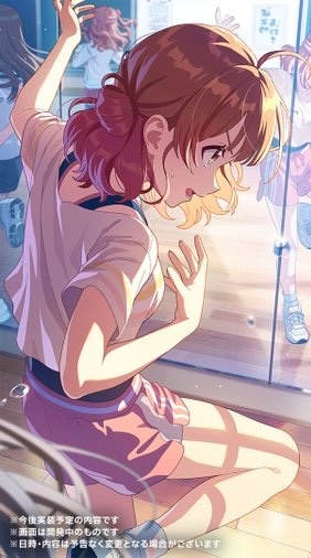 ひよこねこ🐈‍⬛ tweet media