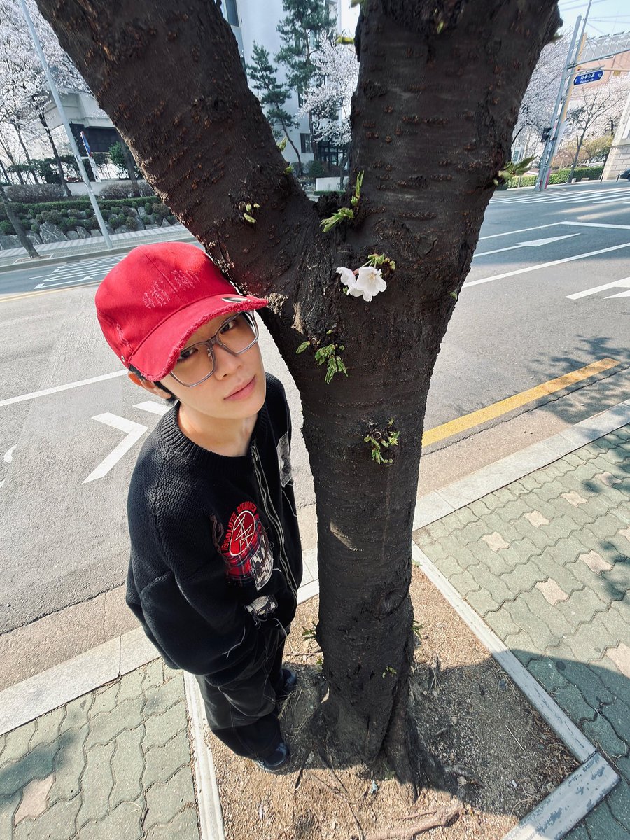 몽시리 tweet media