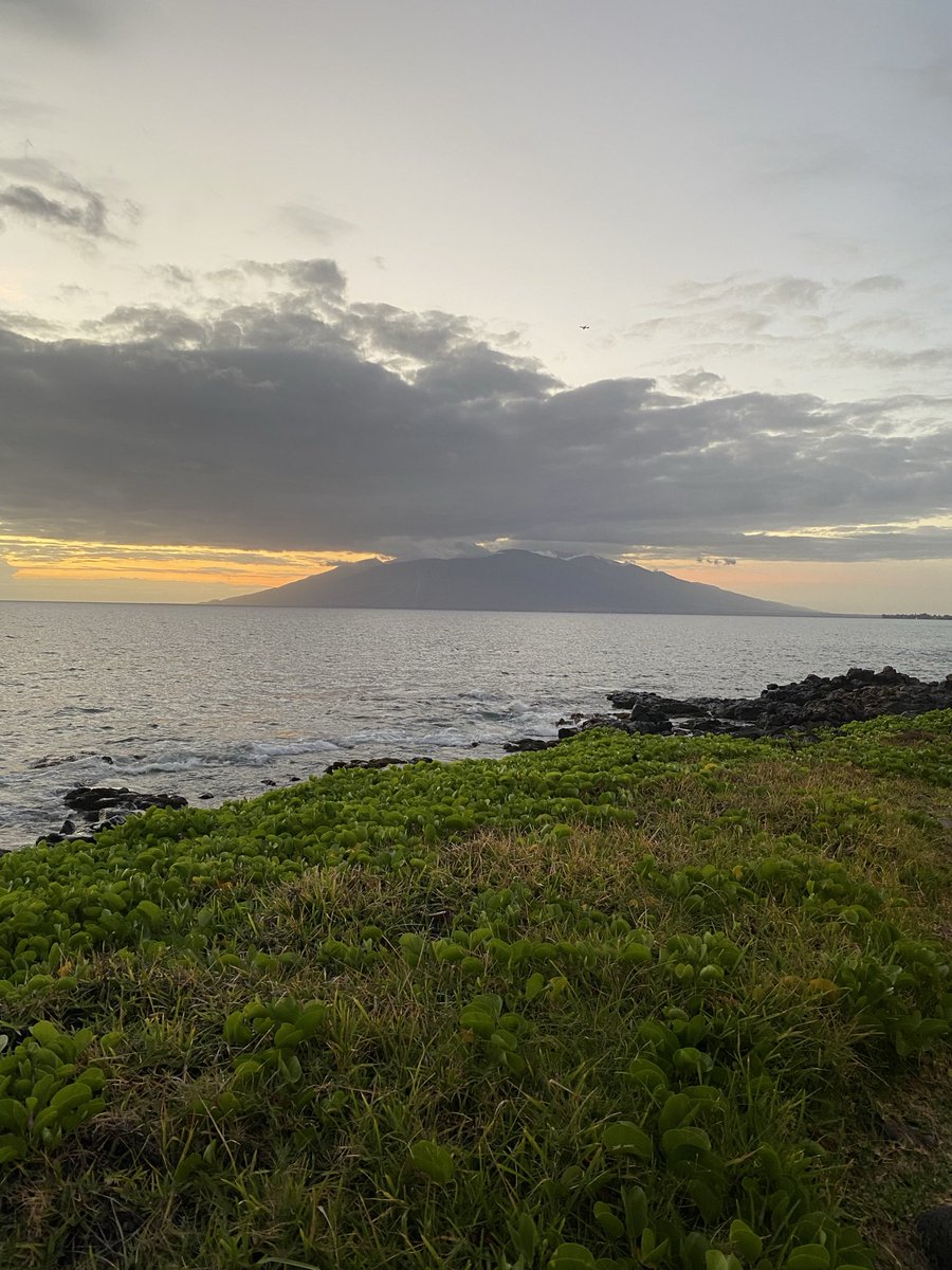 Brooklyn Morgan Johnson tweet media