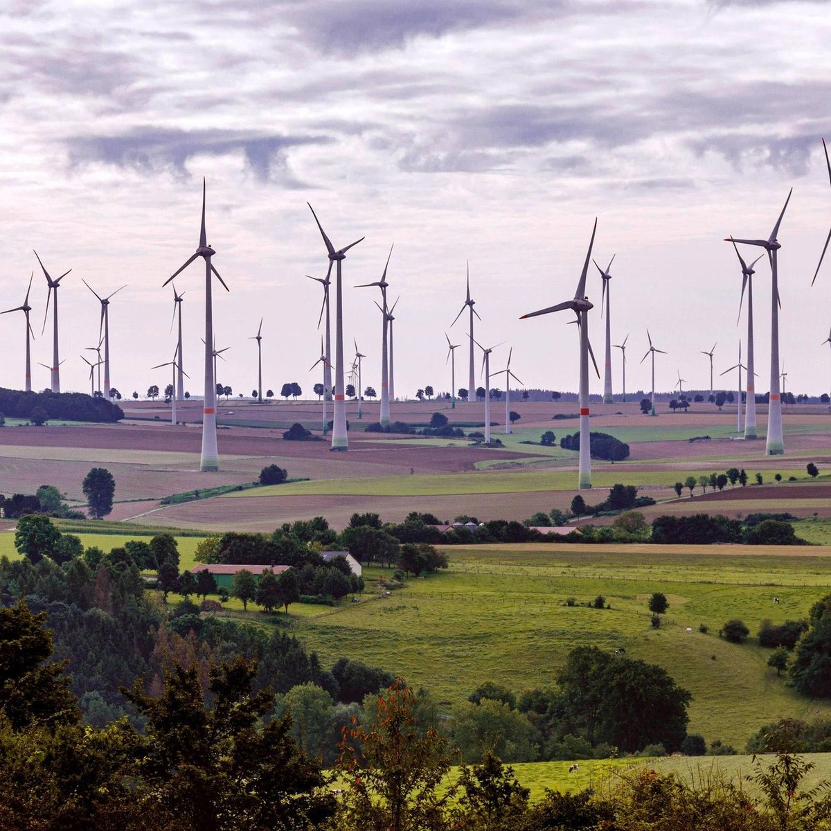 Klar Namen 🇩🇪 Das Original tweet media