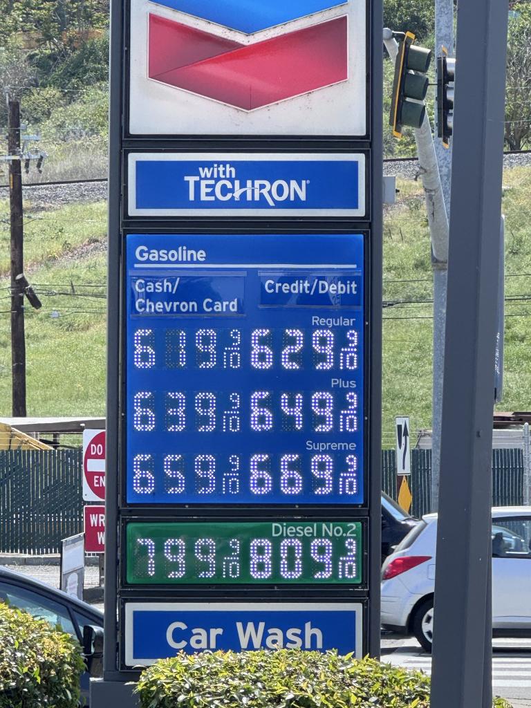 مصطفی محمودی tweet media