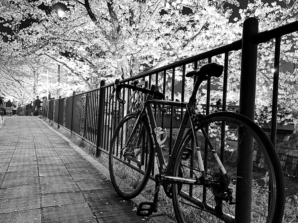 はるき tweet media