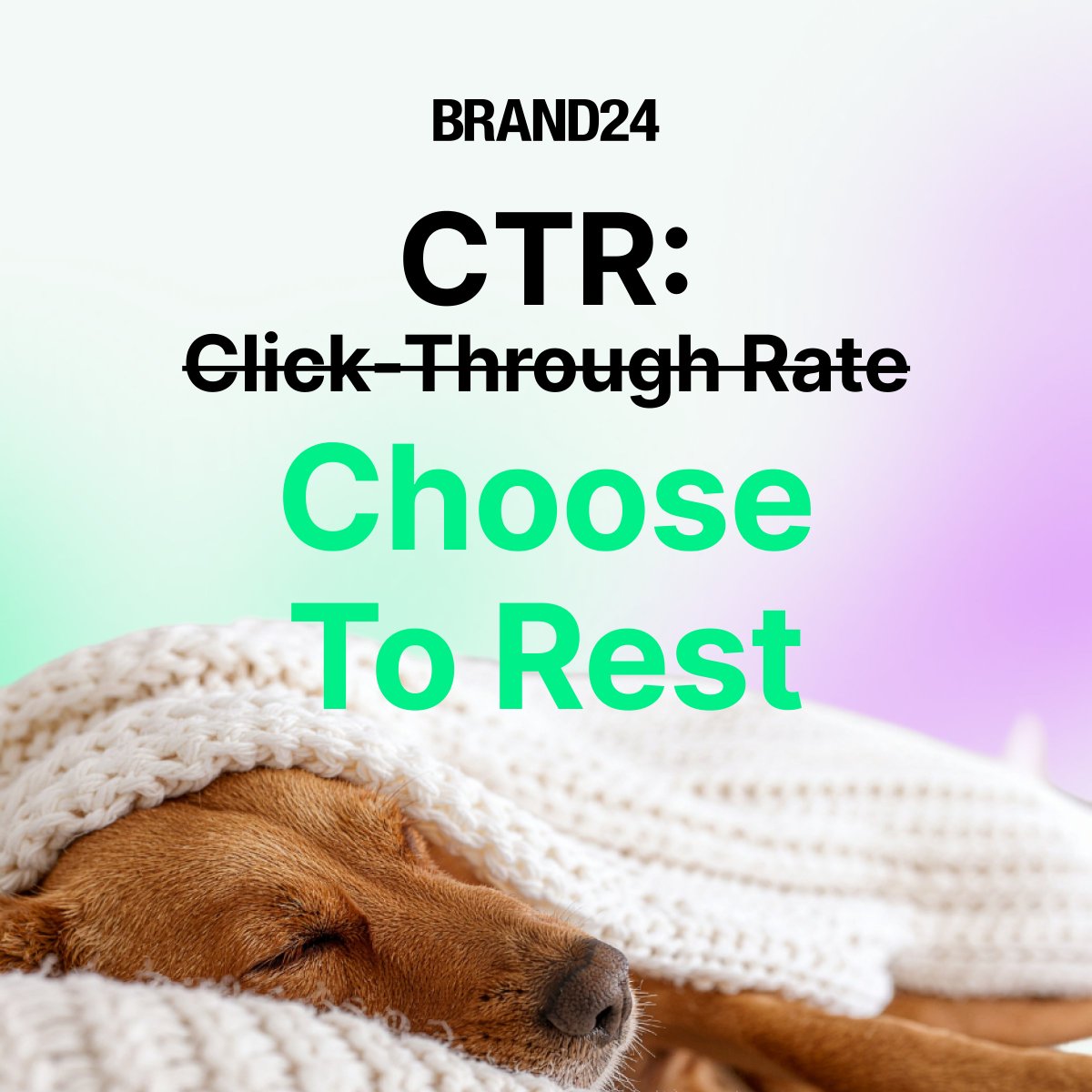 Brand24 tweet media