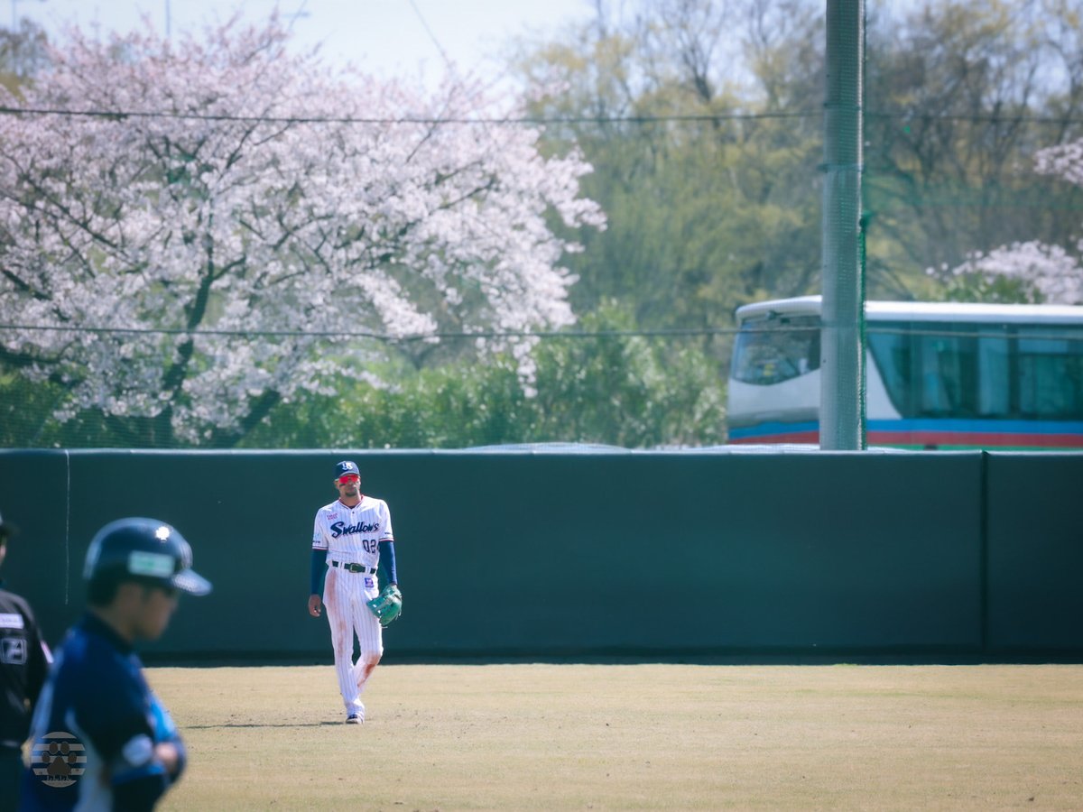 しんしん tweet media