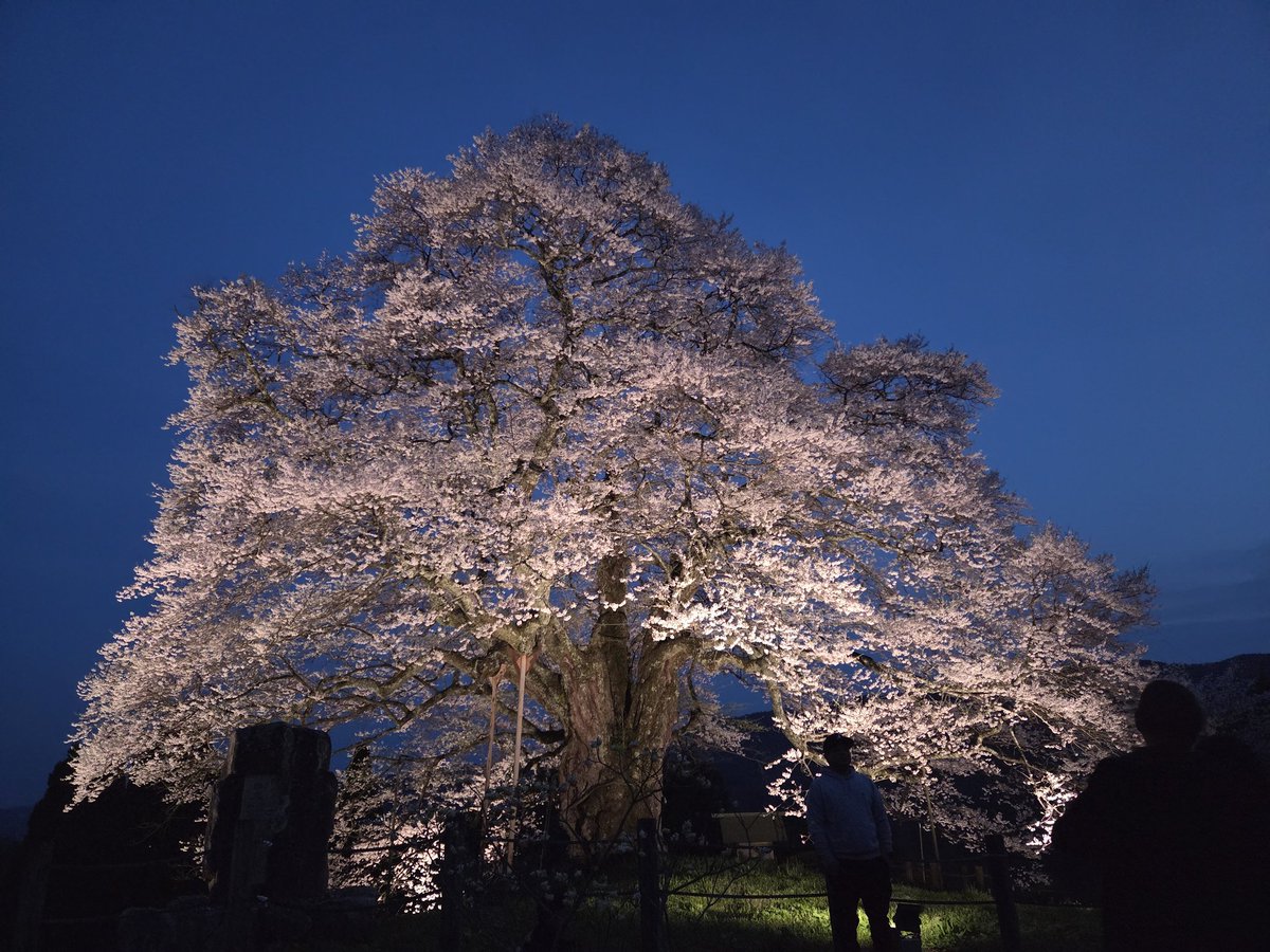 すけ🙇🏻‍♀️返信遅れます🙇🏻‍♀️⸒⸒ tweet media