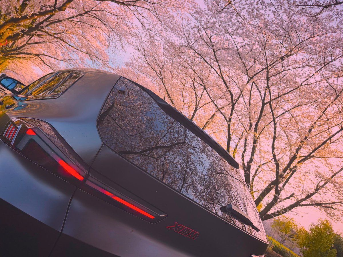 HAMA🦇ྀི【BLIV1代表】 tweet media