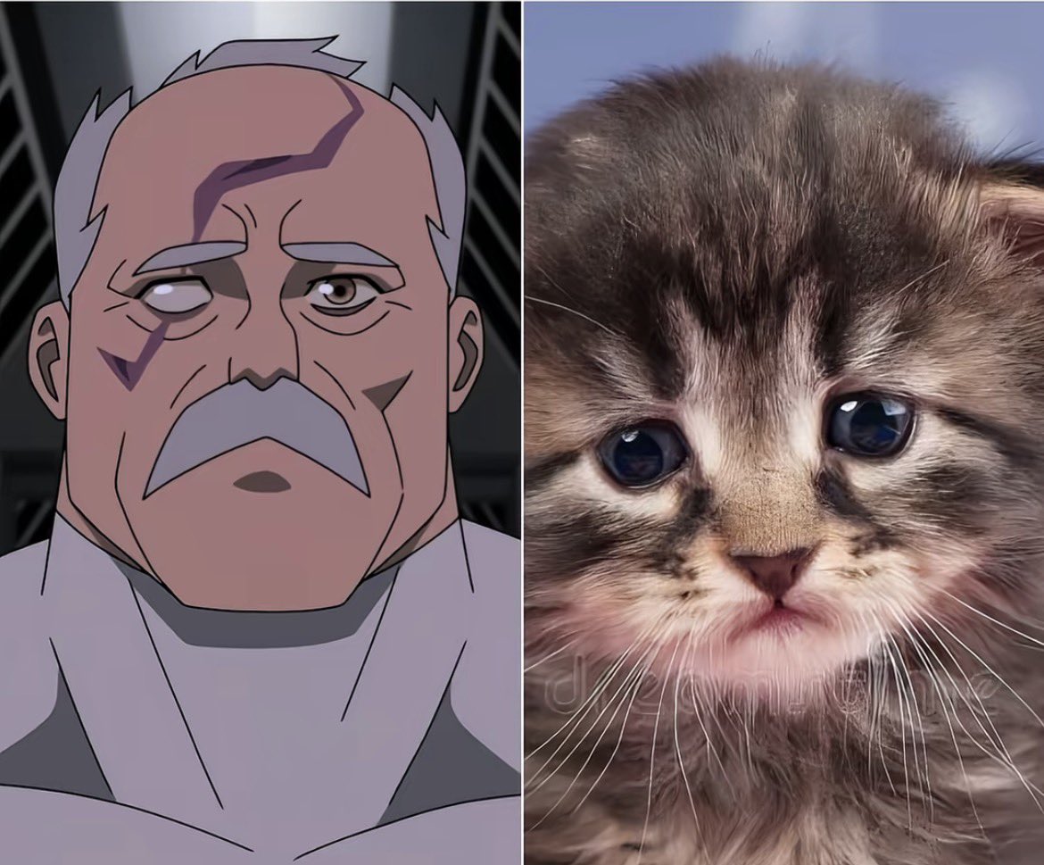 В конце концов я человек tweet media