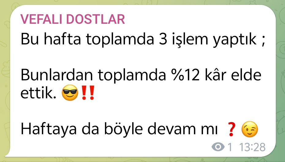 RÂNA OF BIST tweet media