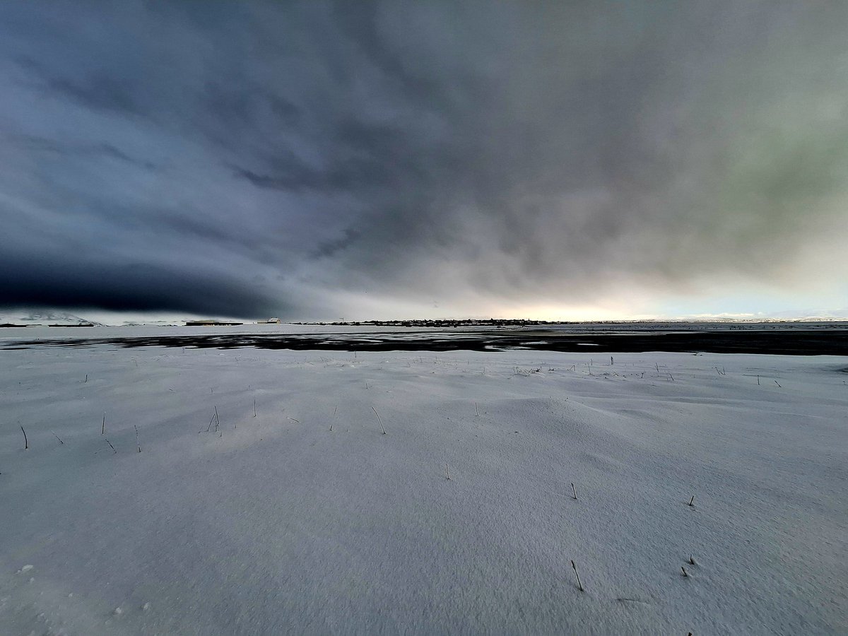 Iceland Cricket tweet media