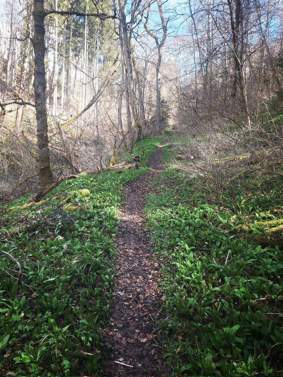 Fr. von Katz 🪤 tweet media