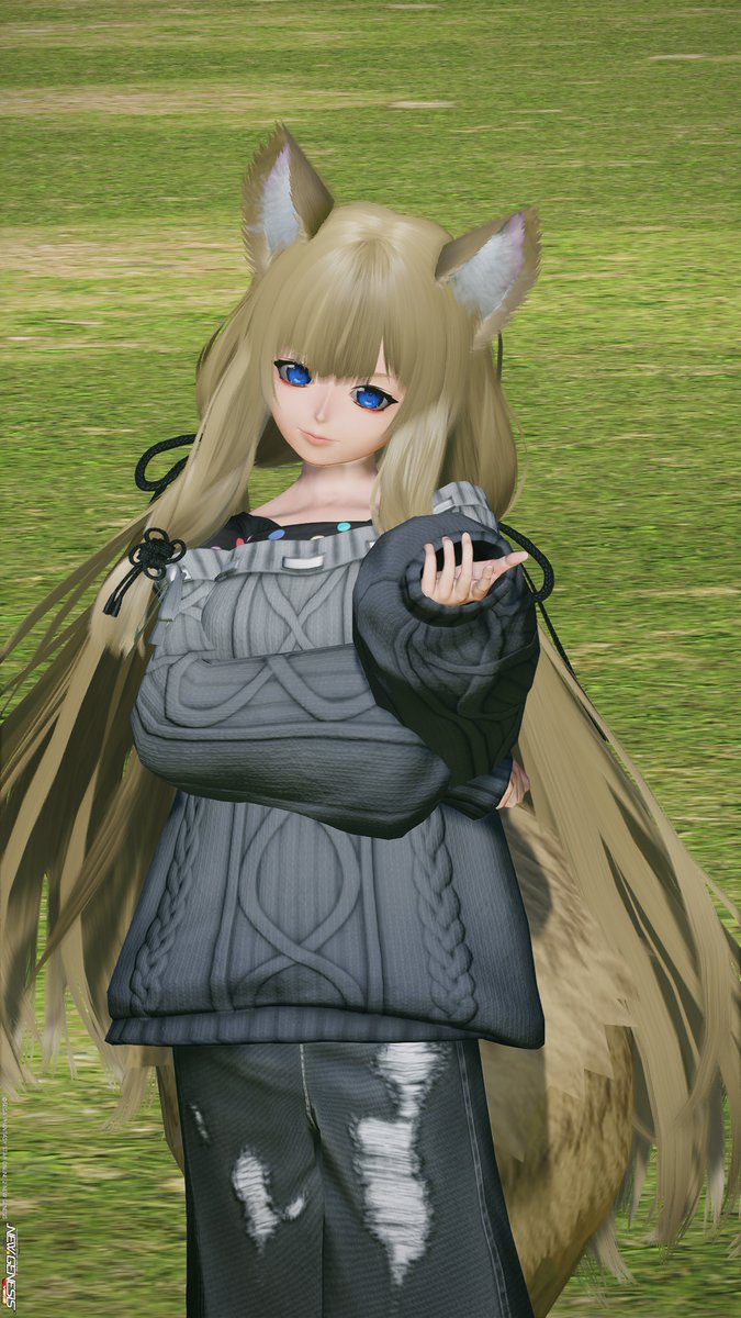 もふこ tweet media