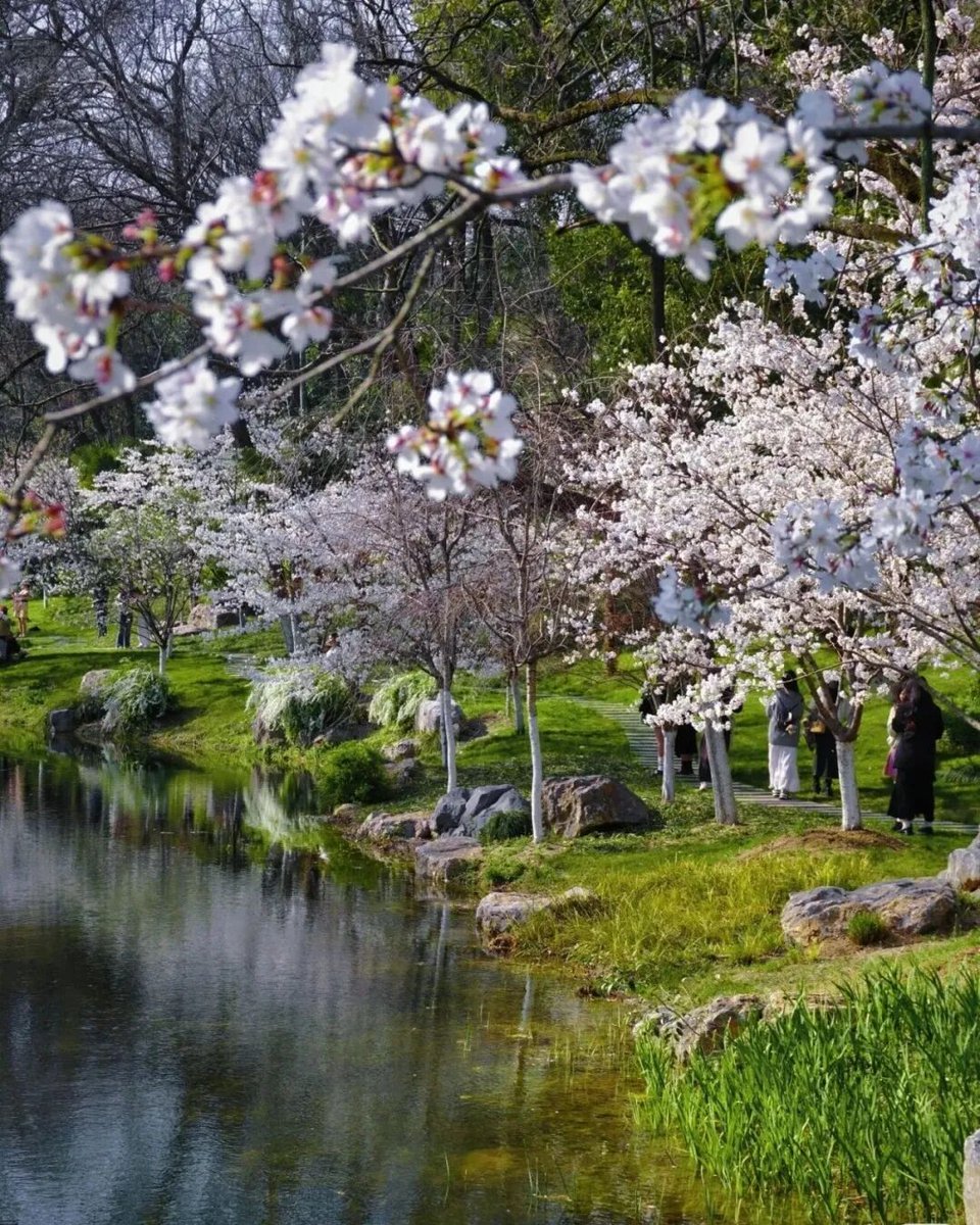 狂飙的小龙虾（互fo互粉） tweet media